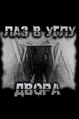Лаз в углу двора - Роман Чёрный