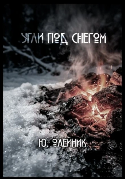 Угли под снегом - Олейник Юлия