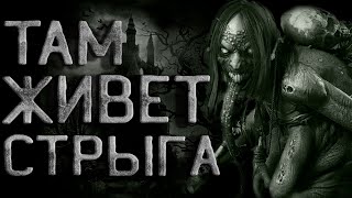 Там живет Стрыга - SMS