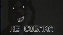 Не собака - Автор неизвестен