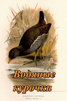 Водяные курочки - Павел Сурожский