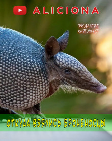 Откуда взялись броненосцы - Киплинг Редьярд