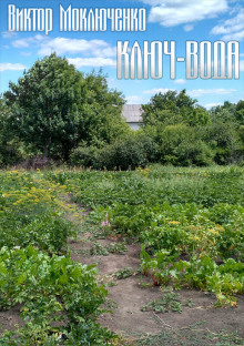 Ключ-вода - Автор неизвестен