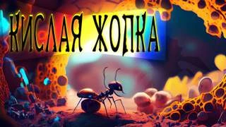 Кислая жопка - Евгений Шиков »