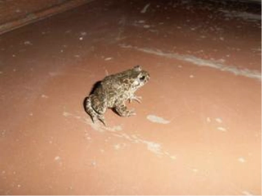 Письмо - Михаил Елизаров »