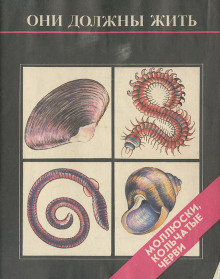 Они должны жить. Моллюски, кольчатые черви - Надежда Кочетова