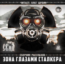 Зона глазами сталкера - Автор неизвестен