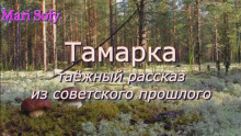 Тамарка - Юрий Насыбуллин