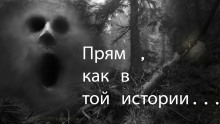 Прям как в той истории... - Пучок Перцепций