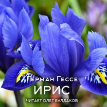 Ирис - Герман Гессе