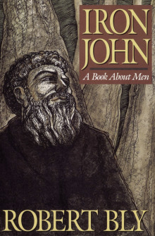 Железный Джон: книга про мужчин - Роберт Блай