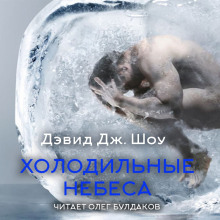 Холодильные небеса - Дэвид Дж. Шоу