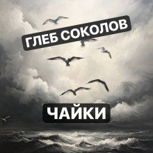Чайки - Глеб Соколов