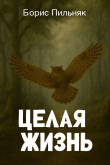 Целая жизнь - Борис Пильняк