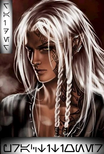 Практик - Рейдер