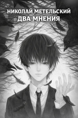 Два мнения - Николай Метельский