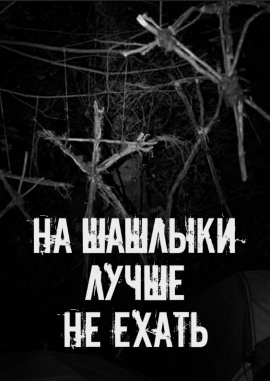 На шашлыки лучше не ехать! - Автор неизвестен